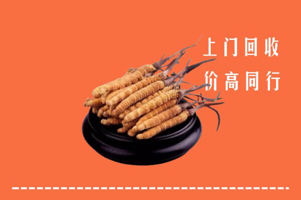 高价求购：宜州区回收散虫草