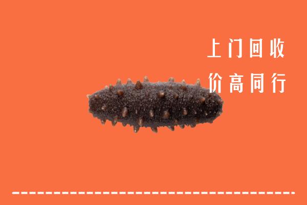 高价求购：宜州区回收海参