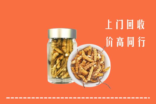 宜州区回收冬虫夏草