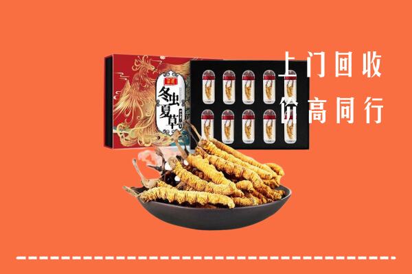 宜州区回收虫草